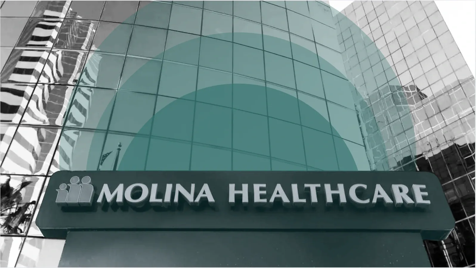 What's Down in the Markets